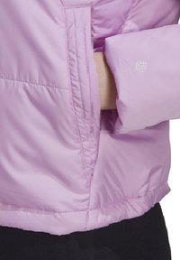 adidas Performance PADDED - Winterjas - lila