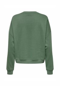 Effen groene sweatshirt met lange mouwen en ribgebreide manchetten en onderrand, weergegeven van achteren op een witte achtergrond.