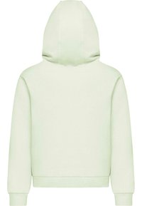 Felpa verde chiaro con una texture liscia, dotata di cappuccio con cordino e polsini a coste. La vista posteriore mostra un design semplice e senza decorazioni.