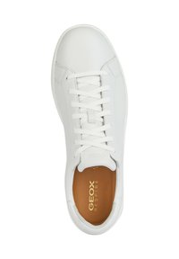 Sneaker in pelle bianca con punta arrotondata, cuciture tono su tono e design con lacci. Presenta una soletta marrone con "GEOX RESPIRA" in oro.