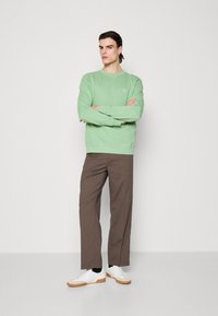 Mintgroene sweatshirt met ronde hals en lange mouwen, gecombineerd met een bruine broek en witte sneakers. Model staat met de armen gekruist.