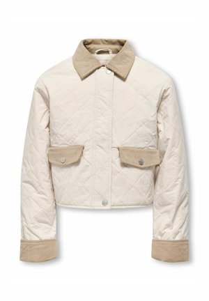 STEPP KOGROSALINA  - Lahka jakna - moonbeam