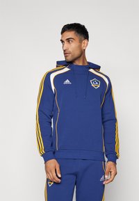 Blue athletic hoodie featuring yellow and white stripes, drawstring hood, and embroidered logo. Soft fabric with ribbed cuffs and hem.