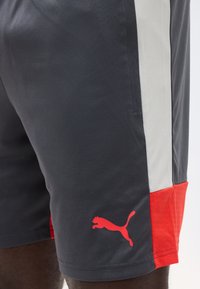 Κοντινό πλάνο σκούρων γκρι αθλητικών σορτς με λευκή κάθετη ρίγα και κόκκινο λογότυπο Puma κοντά στο στρίφωμα, που φοριούνται από ένα άτομο.