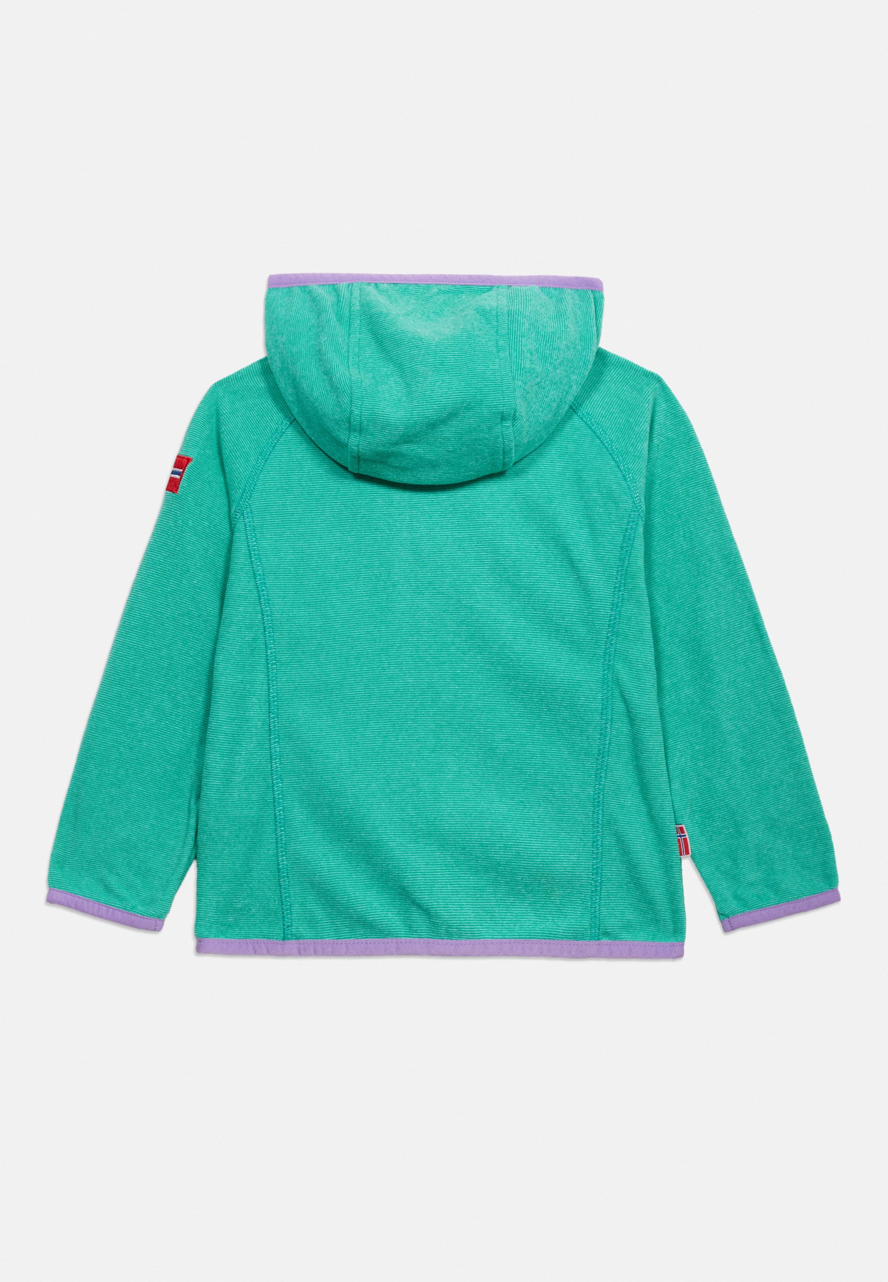 Patagonia MICRO SNAP UNISEX - Fleece jacket - early teal/shore
