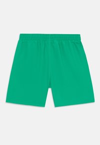 Shorts verdi con una cintura elastica, realizzati in tessuto liscio. Presentano un design semplice senza dettagli o motivi aggiuntivi.