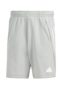 Ljusgrå träningsshorts i mjukt tyg. Har ett elastiskt midjeband, sidofickor och vita logodetaljer på framsidan.