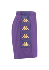 Paarse sportshorts met een elastische tailleband. Voorzien van een zijpaneel met een blauwe mesh achtergrond en vier gouden logo's. Glad van structuur.