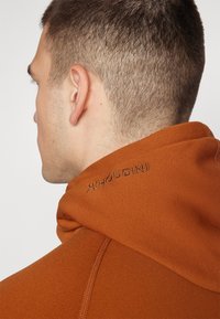 Houdini POWER - Jakna od flisa - cinnamon brown
