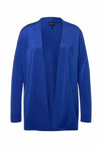 Unausgewählt, blue