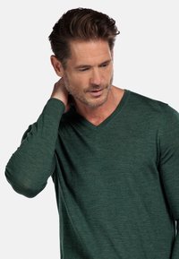 Groene lange mouwen V-hals trui van zacht materiaal, met een gestructureerde afwerking en aansluitende mouwen. Eenvoudig en klassiek ontwerp.