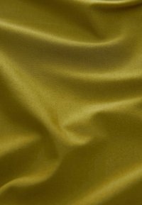 Next LONG SLEEVE - REGULAR FIT - Trikotaažkleit - olive green