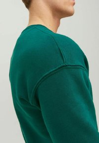 Felpa verde con girocollo, realizzata in tessuto morbido. Dettagli di cucitura visibili e vestibilità rilassata, che mette in evidenza le spalle e i contorni delle braccia.