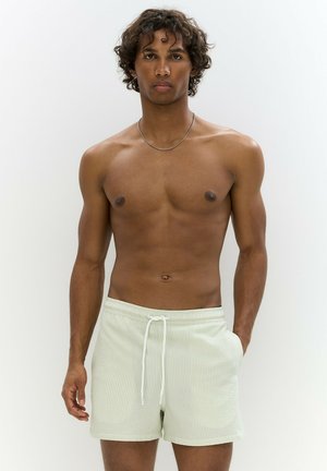 STRIPE - Badeshorts - light green