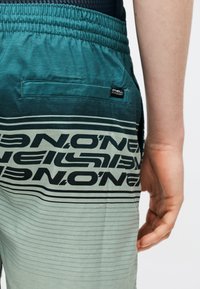 Κοντινό πλάνο του ισχίου ενός ατόμου που φοράει σορτς με ριγέ teal και γκρι, με πίσω τσέπη και ετικέτα με το λογότυπο "O'Neill", το χέρι χαλαρό στο πλάι.