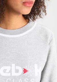 Felpa grigia con scollatura rotonda, caratterizzata da dettagli bianchi e un grande logo rosso e bianco sul davanti. Tessuto dalla consistenza liscia.