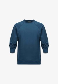 Non selezionato, petrol