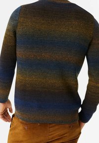 Homme portant un pull tricoté dégradé multicolore marron et bleu et un pantalon en velours côtelé marron, vu de dos.