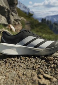 Μαύρο και λευκό παπούτσι Adidas Terrex για ορεινό τρέξιμο σε βραχώδη ορεινή διαδρομή με θολούς πράσινους λόφους και σύννεφα στον ουρανό στο φόντο.