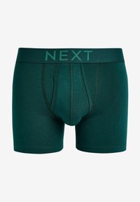 Next A FRONTS 10 PACK - Apakšbikses - rich brights