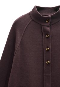 Brązowa polarowa bluzka z wysokim kołnierzem, ozdobiona złotymi guzikami i raglanowymi rękawami. Miękki materiał o prostym, minimalistycznym wzornictwie.