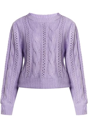 Lilac krēpju adījuma džemperis ar apaļu kakla izgriezumu, garām piedurknēm un īsu apakšu. Iekļauj sarežģītus adījuma rakstus un teksturētas akcentus.