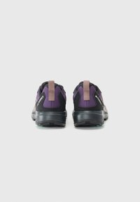 Adidas Terrex ANYLANDER - Chaussures de marche - aurora plum/core black/trace brown