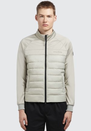 Veste matelassée gris clair avec un corps lisse et rembourré et des manches ajustées. Présente un col montant et une fermeture éclair à l'avant, avec des poches latérales.