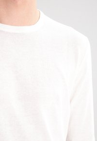 Personne portant un t-shirt blanc uni à manches longues et col rond, sur un fond gris clair.