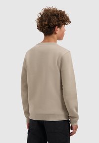 Beige crewneck sweatshirt gemaakt van zachte stof, met ribgebreide manchetten en zoom, in een relaxte fit en zonder zichtbare logo's of patronen.