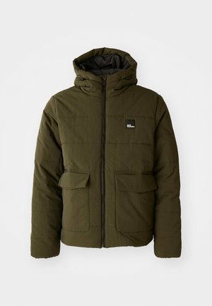 Jack Wolfskin NORTHERN LITE HOODED - Winter jacket - obsidian moss