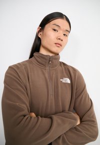 The North Face GLACIER 1/4 ZIP - Vesta od flisa - smokey brown