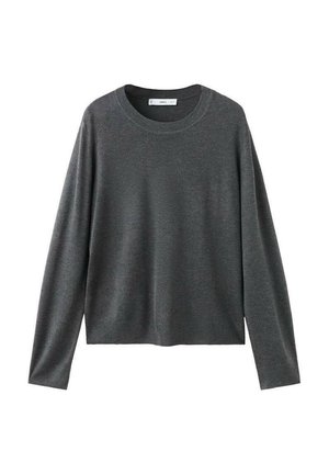 Maglione grigio a maglia con maniche lunghe, scollatura rotonda e vestibilità comoda. Realizzato in un tessuto morbido con una texture liscia e senza motivi visibili.