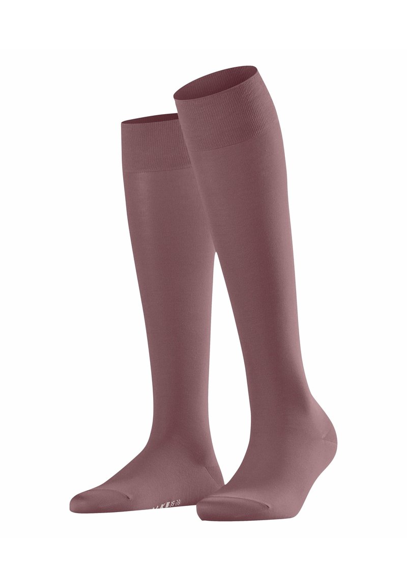 FALKE COTTON TOUCH - Kniestrümpfe - roan rouge