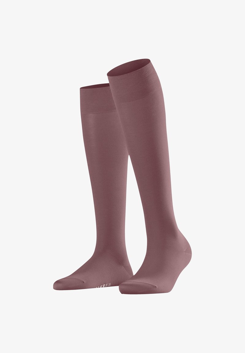 FALKE COTTON TOUCH - Kniestrümpfe - roan rouge