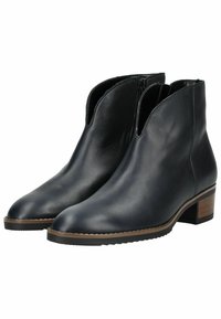 Botas de tobillo de cuero negro con punta afilada, cierre de cremallera lateral y un bajo tacón de bloque de madera. Textura suave con un diseño elegante.