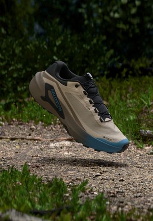 Salomon, GENESIS 2 GTX - Обувки за бягане по пресечен терен - oxford tan/walnut/niagara
