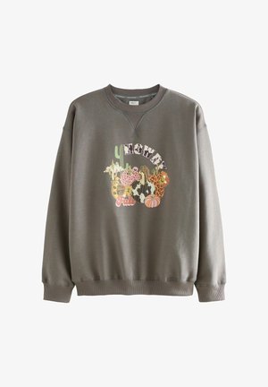Gray sweatshirt with a crew neck, featuring a colorful fall-themed graphic of pumpkins and cacti. Soft fabric with ribbed cuffs and hem.