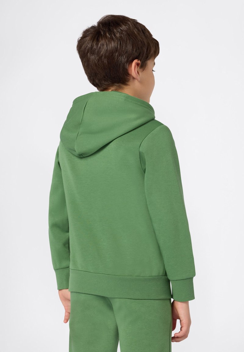 Sweatshirt À Capuche Garçon Graphique Collegiate Vert ADIDAS