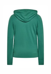 Grüner, leichter Kapuzenpullover aus strukturiertem Stoff mit langen Ärmeln und einer runden Kapuze. Einfaches Design ohne zusätzliche Akzente oder Muster.