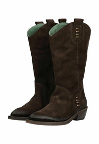 Bruine suède cowboylaarzen met een puntige neus, een gestapelde hak en decoratieve zijkanten. Gevoerd met lichtgroen materiaal.