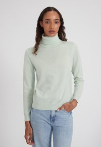 Pull à col roulé vert menthe clair en tissu doux, avec des manches longues et un ourlet ajusté côtelé à la taille et aux poignets.