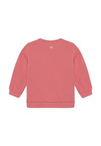 Felpa rosa con maniche lunghe, polsi a coste, scollatura arrotondata e un piccolo etichetta sul retro. Tessuto lisico, design casual.