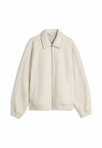 TRUCKER JACKET - Giacca da mezza stagione - light grey