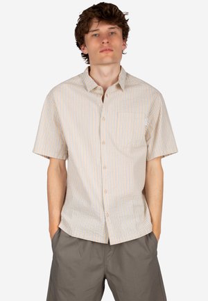 Young man with hands in pockets wearing short-sleeve beige and blue striped button-up shirt and gray shorts, standing against white background.