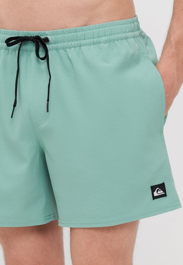 EVERYDAY FLEX VOLLEY - Swimming shorts3