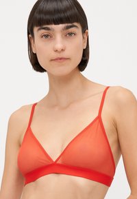 Červený bralet vyrobený z priesvitnej sieťoviny s hladkým pásom, ktorý má tenké nastaviteľné ramienka a trojuholníkový tvar, navrhnutý pre pohodlie.