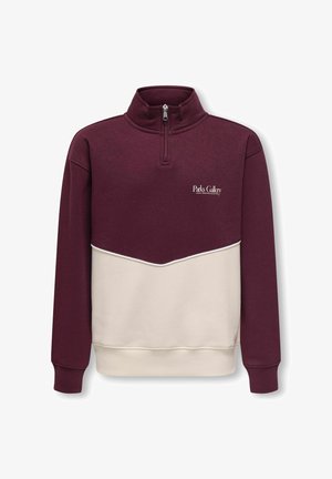 Pull quart-zippé bordeaux et beige avec le texte "Parks Gallery" sur la poitrine, poignets côtelés et col montant.