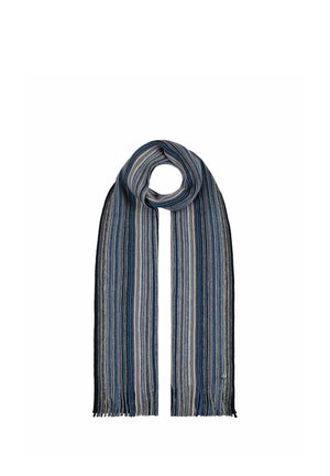 Blue, gray, and beige striped wool scarf with fringed ends, draped in a loop with a small round metal tag near one fringe.