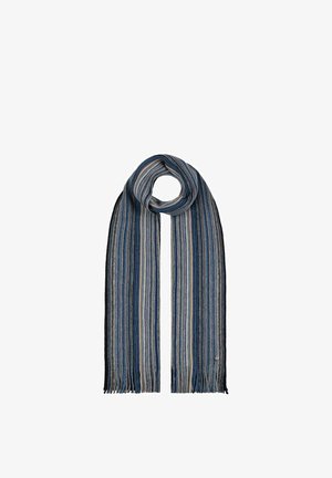 Blue, gray, and beige striped wool scarf with fringed ends, draped in a loop with a small round metal tag near one fringe.